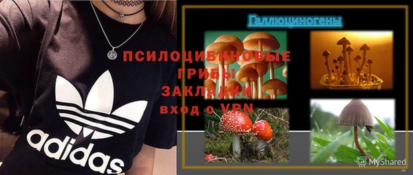 хмурый Армянск