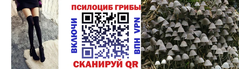 Галлюциногенные грибы прущие грибы  Остров 